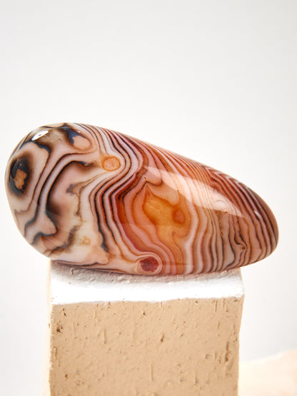 Achat Madagaskar S