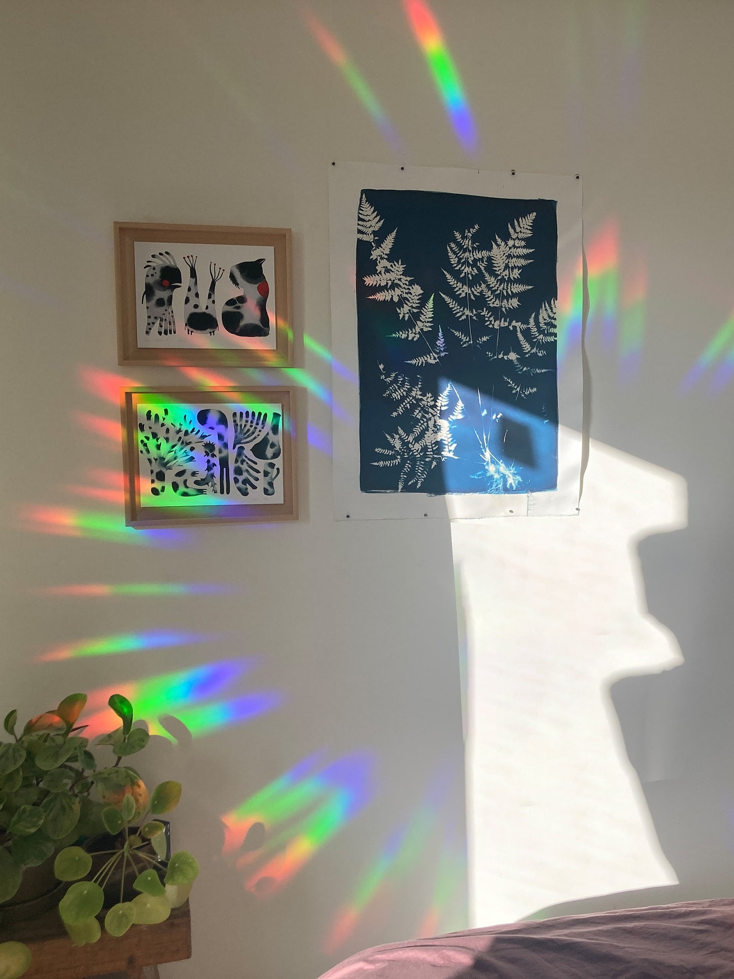 Rainbow Maker Sticker Growing