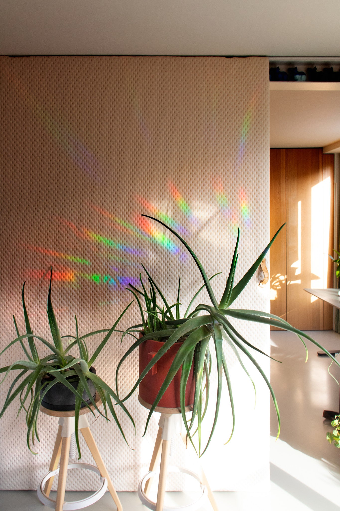 Rainbow Maker Sticker Growing