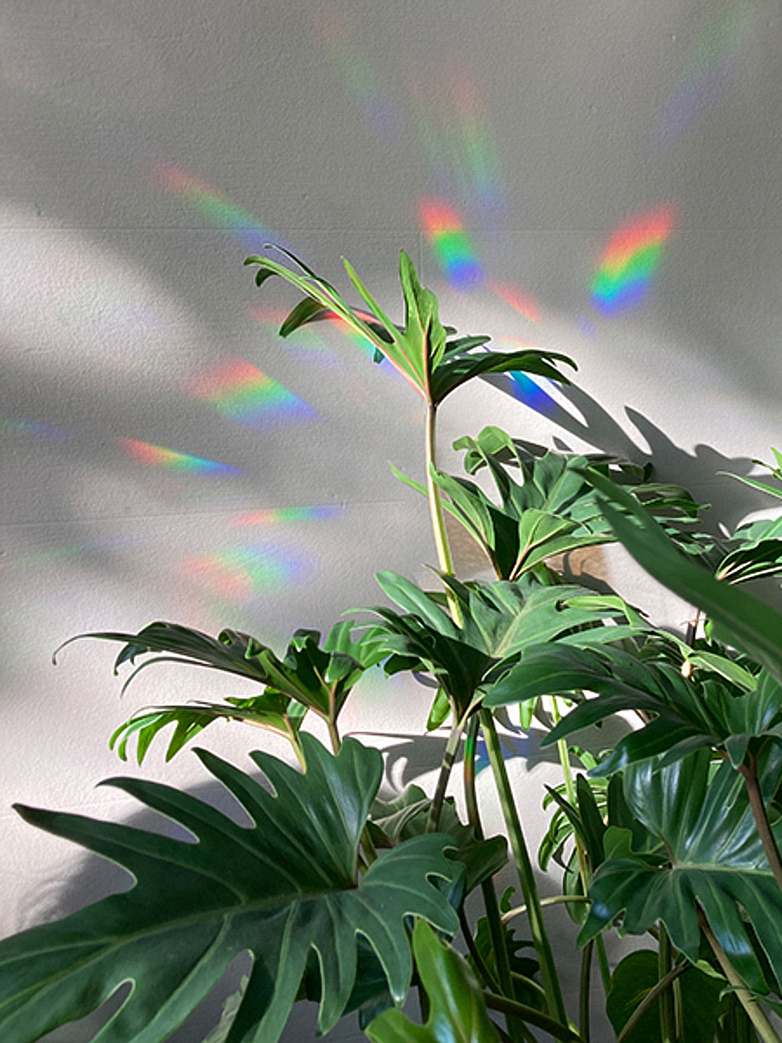 Rainbow Maker Sticker Magic