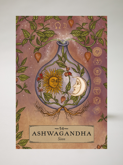 Herbal Astrology Orakel