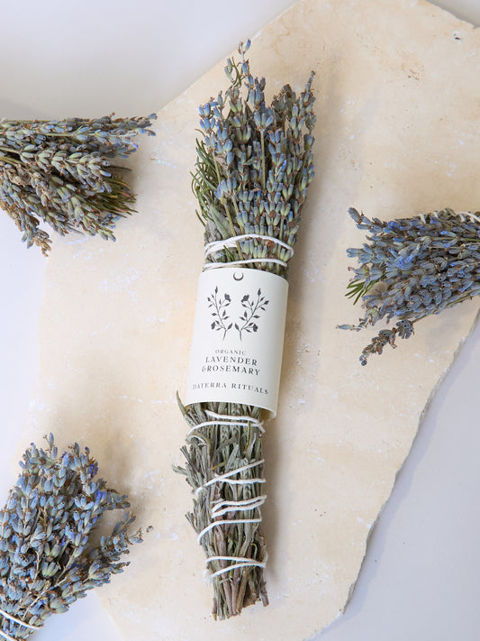Lavendel Rosmarin Bündel Bio