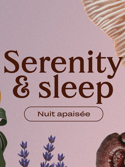 Lavender Cacao mit Reishi